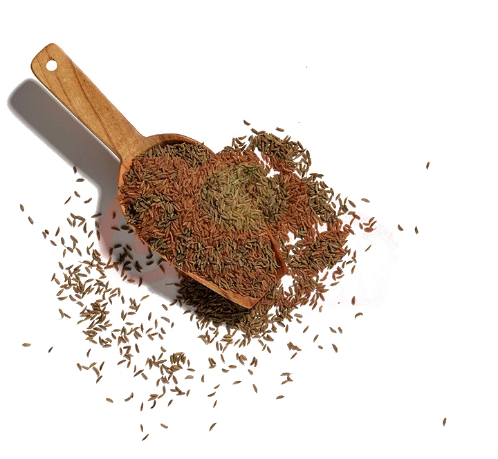 Caraway Seed 100 GM