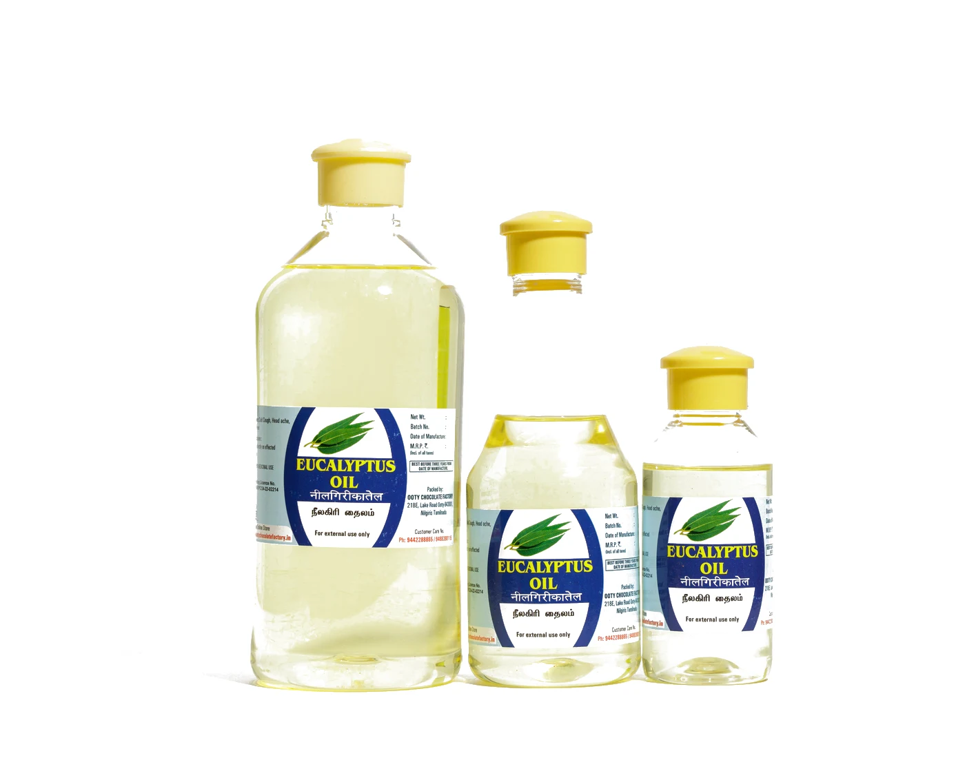 Eucalyptus Oil