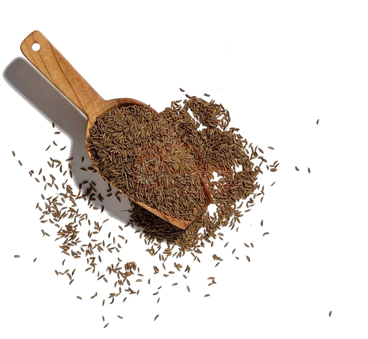 Cumin 100 GM
