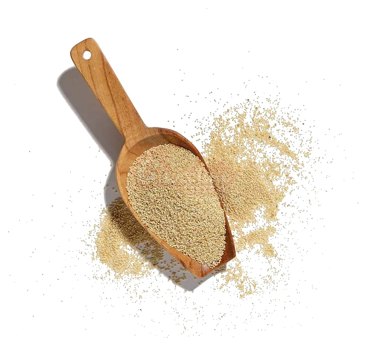 Poppy Seeds 100 GM